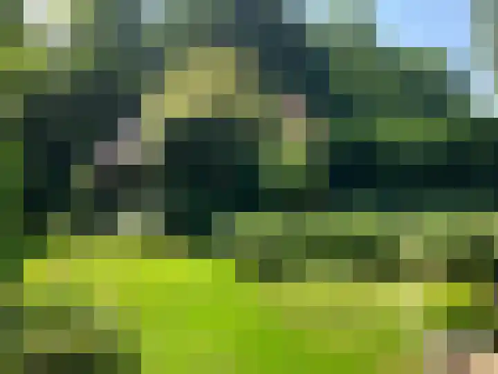 Verlengde Slotlaan 28 Zeist thumbnail 24
