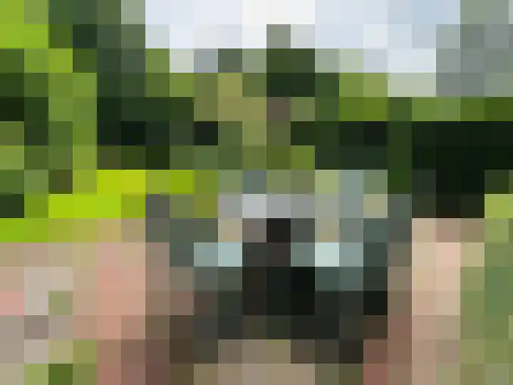 Verlengde Slotlaan 28 Zeist thumbnail 25