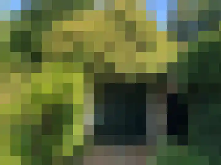 Verlengde Slotlaan 28 Zeist thumbnail 27