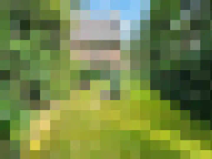 Verlengde Slotlaan 28 Zeist thumbnail 29