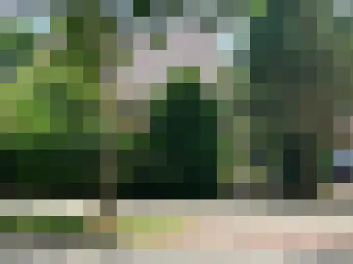 Verlengde Slotlaan 28 Zeist thumbnail 32