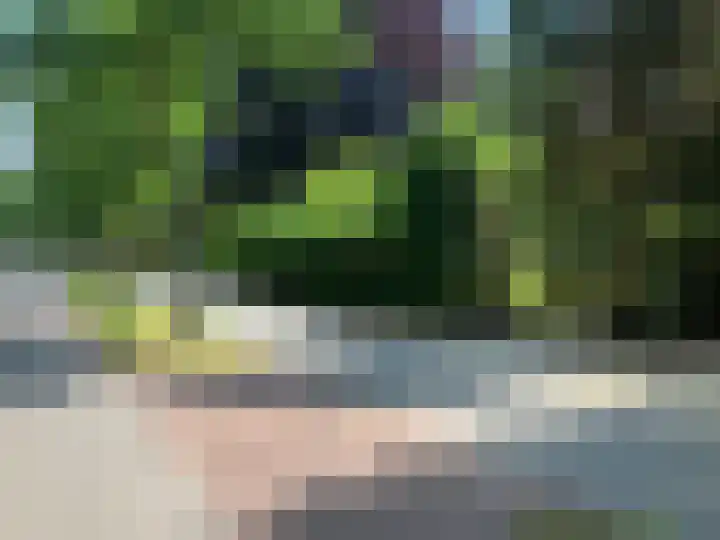 Verlengde Slotlaan 28 Zeist thumbnail 34