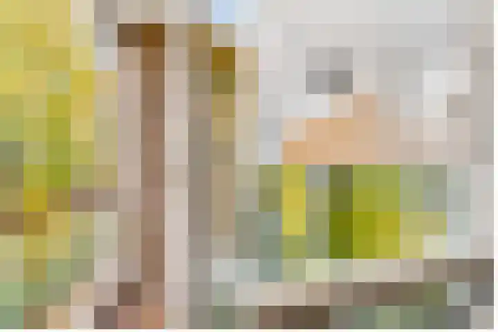 Verlengde Slotlaan 32 20 Zeist thumbnail 13