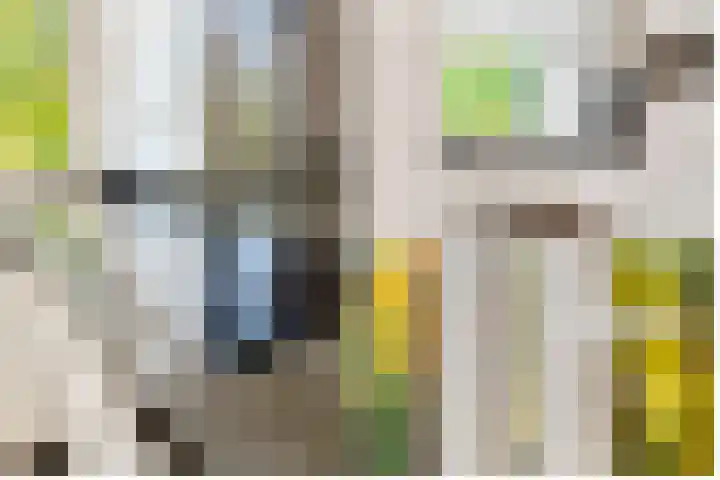 Verlengde Slotlaan 32 20 Zeist thumbnail 14