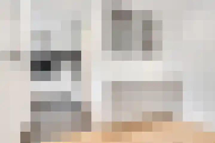 Verlengde Slotlaan 32 20 Zeist thumbnail 15