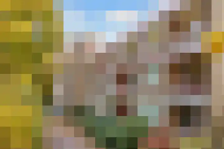 Verlengde Slotlaan 32 20 Zeist foto 2