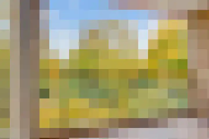 Verlengde Slotlaan 32 20 Zeist thumbnail 21