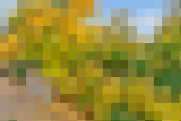 Verlengde Slotlaan 32 20 Zeist thumbnail 24