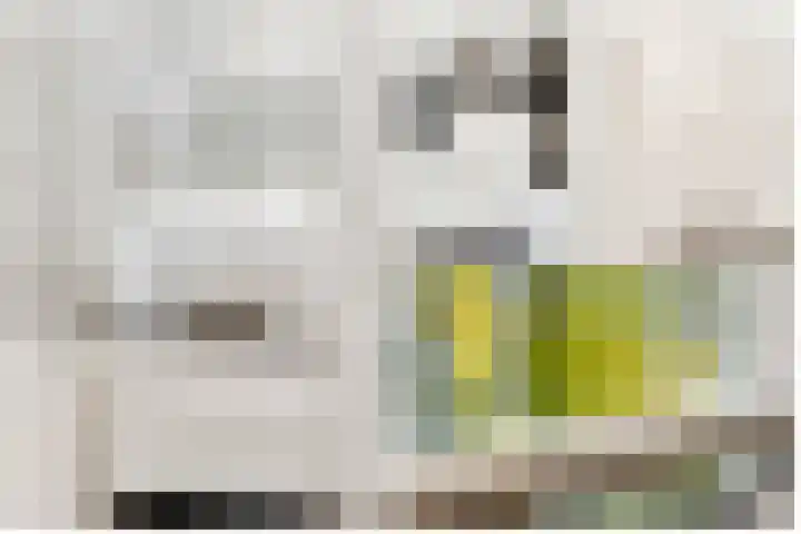Verlengde Slotlaan 32 20 Zeist thumbnail 26
