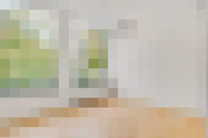 Verlengde Slotlaan 32 20 Zeist thumbnail 29