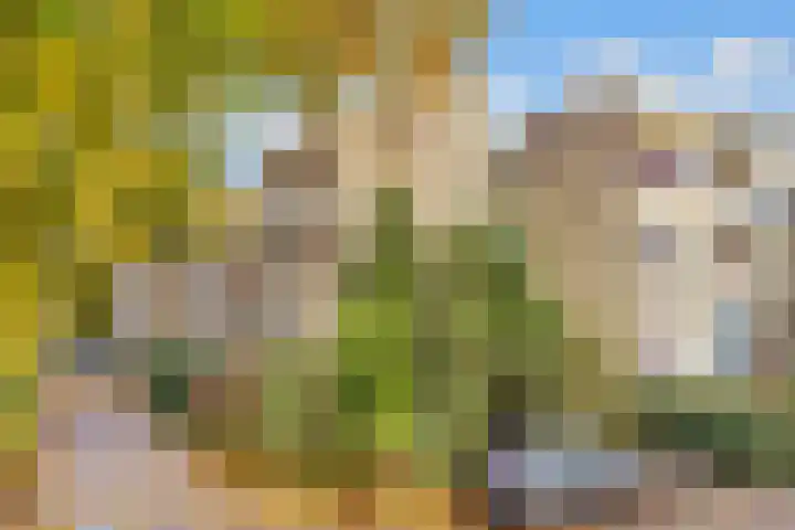 Verlengde Slotlaan 32 20 Zeist foto 3