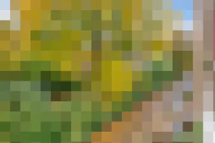Verlengde Slotlaan 32 20 Zeist thumbnail 34