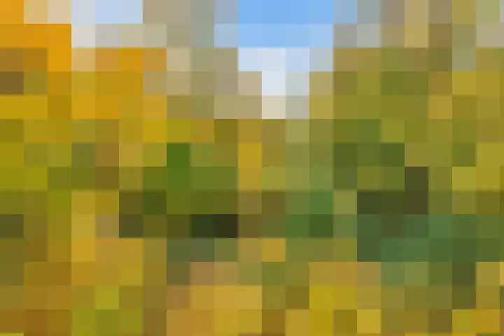 Verlengde Slotlaan 32 20 Zeist thumbnail 35