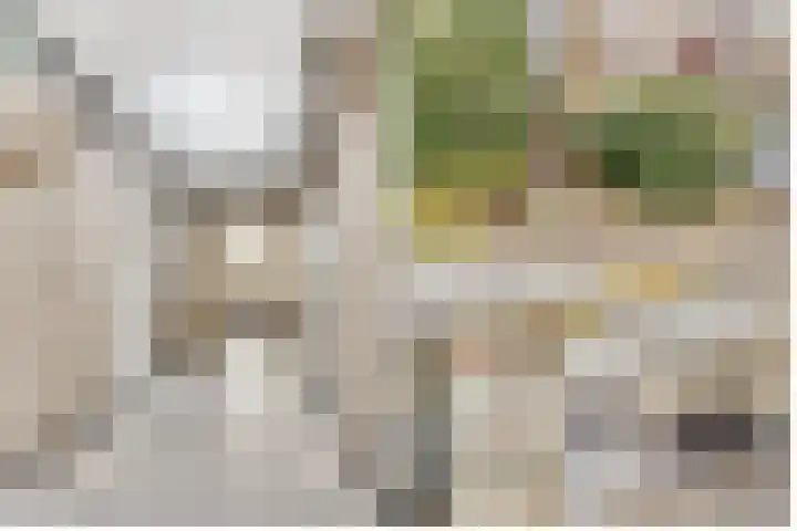 Verlengde Slotlaan 32 20 Zeist thumbnail 39