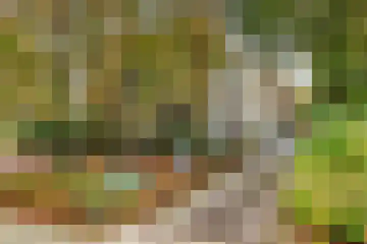 Verlengde Slotlaan 32 20 Zeist thumbnail 4