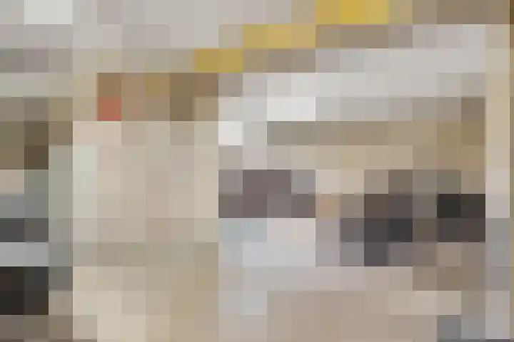 Verlengde Slotlaan 32 20 Zeist thumbnail 41