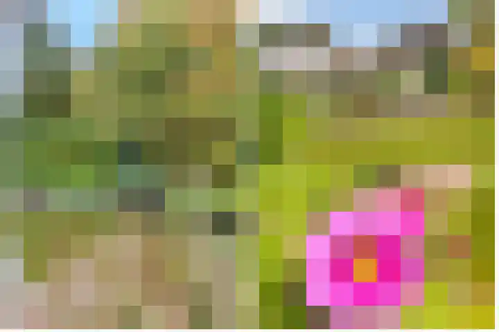 Verlengde Slotlaan 32 20 Zeist thumbnail 46