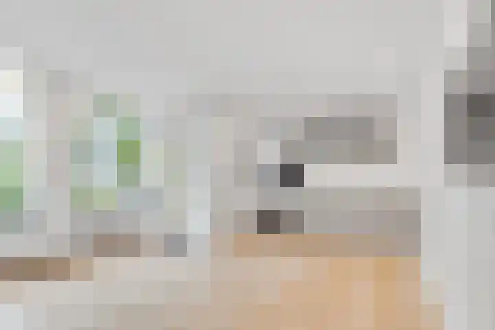 Verlengde Slotlaan 32 20 Zeist thumbnail 8