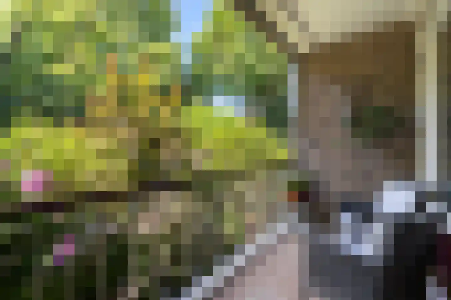 Verlengde Slotlaan 32 33 Zeist thumbnail 18