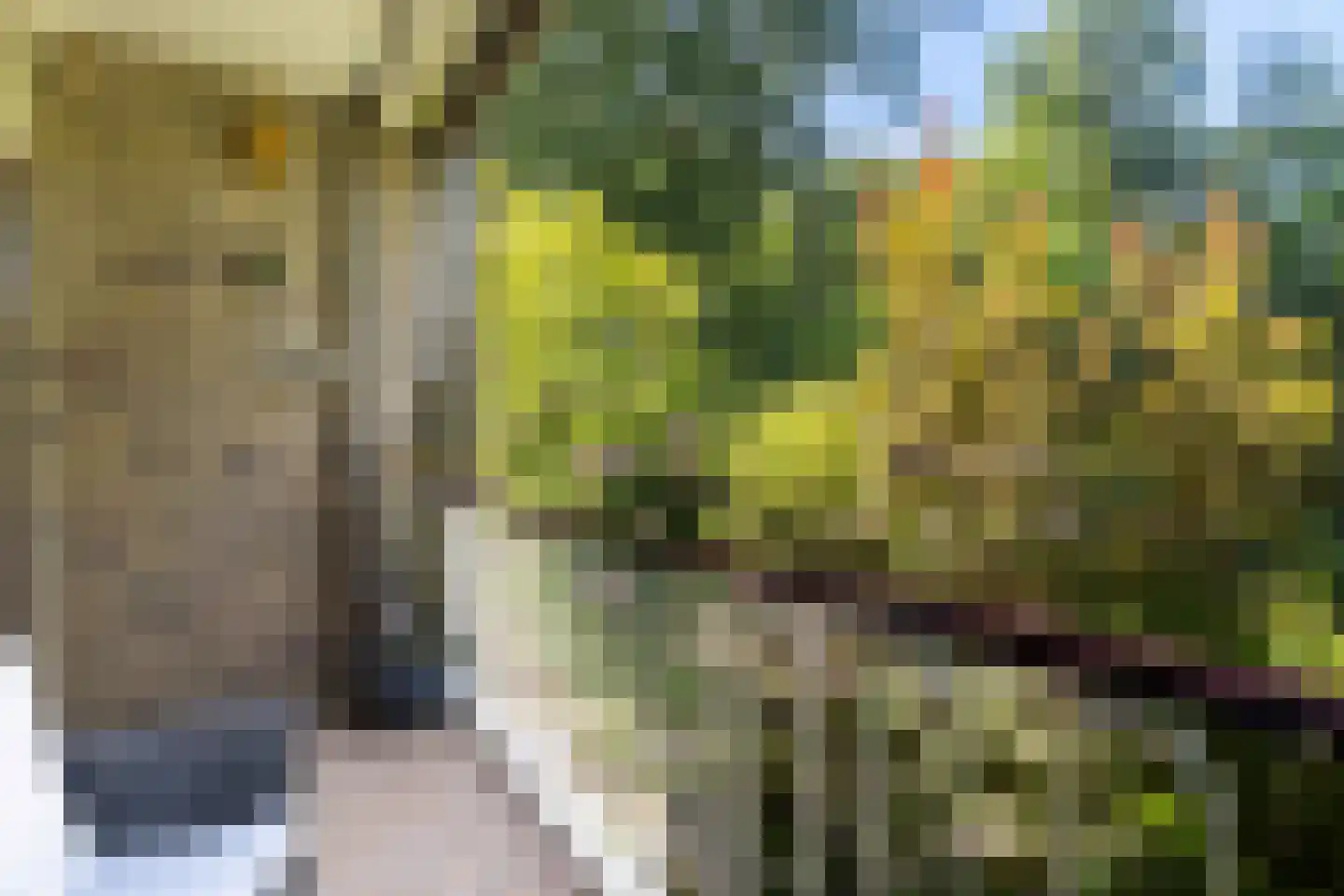 Verlengde Slotlaan 32 33 Zeist thumbnail 19