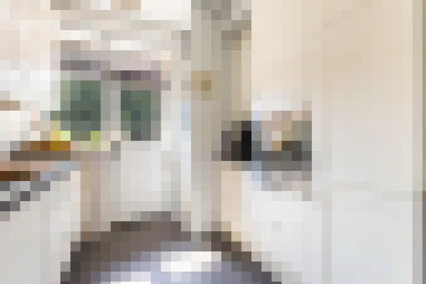 Verlengde Slotlaan 32 33 Zeist thumbnail 21