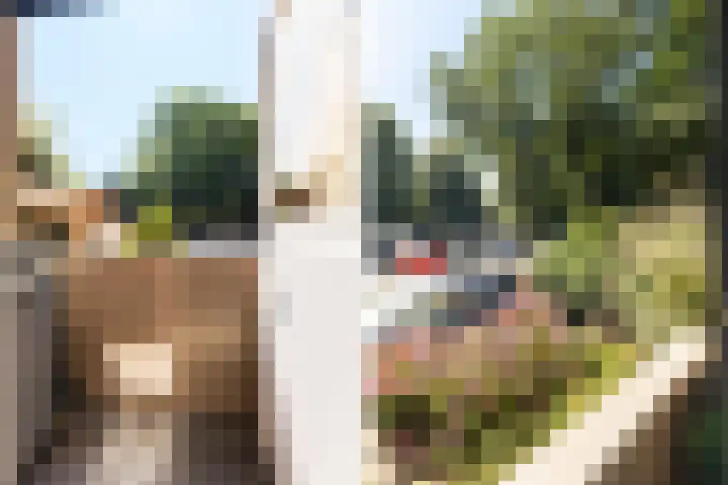 Verlengde Slotlaan 32 33 Zeist thumbnail 25