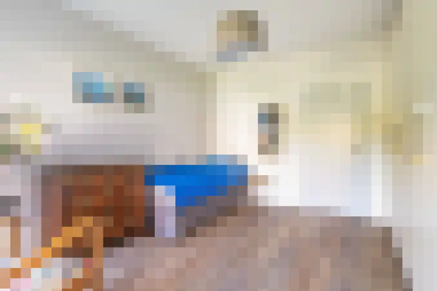Verlengde Slotlaan 32 33 Zeist thumbnail 30