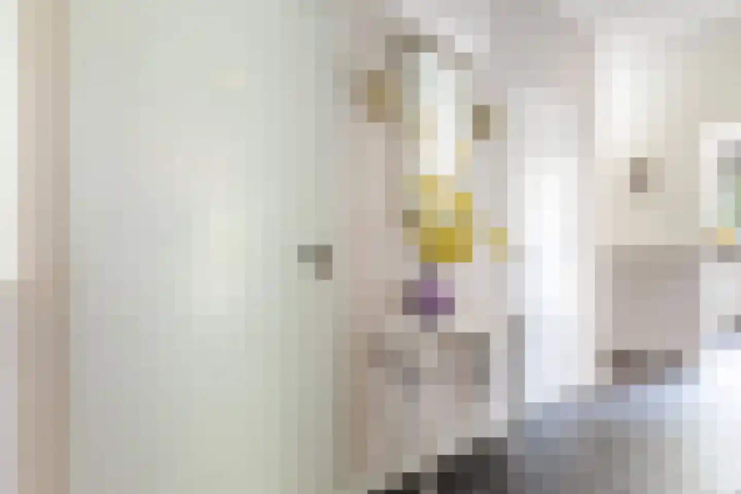 Verlengde Slotlaan 32 33 Zeist thumbnail 8
