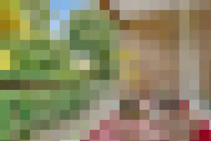 Verlengde Slotlaan 32 35 Zeist thumbnail 18