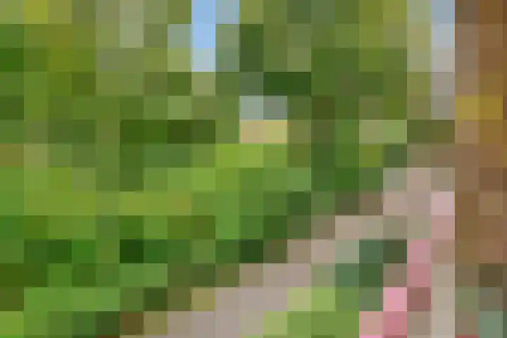 Verlengde Slotlaan 32 35 Zeist thumbnail 19