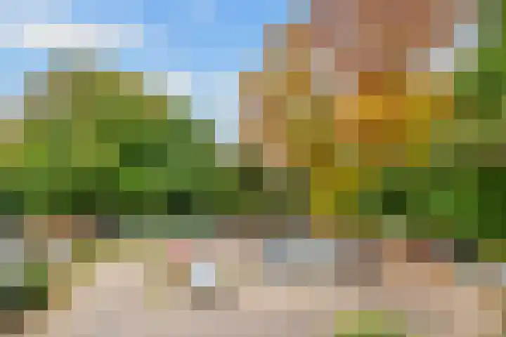 Verlengde Slotlaan 32 35 Zeist thumbnail 23