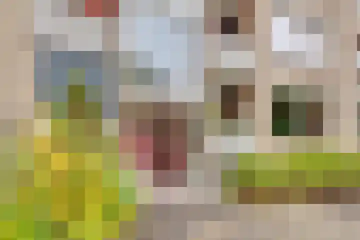 Verlengde Slotlaan 32 35 Zeist foto 3