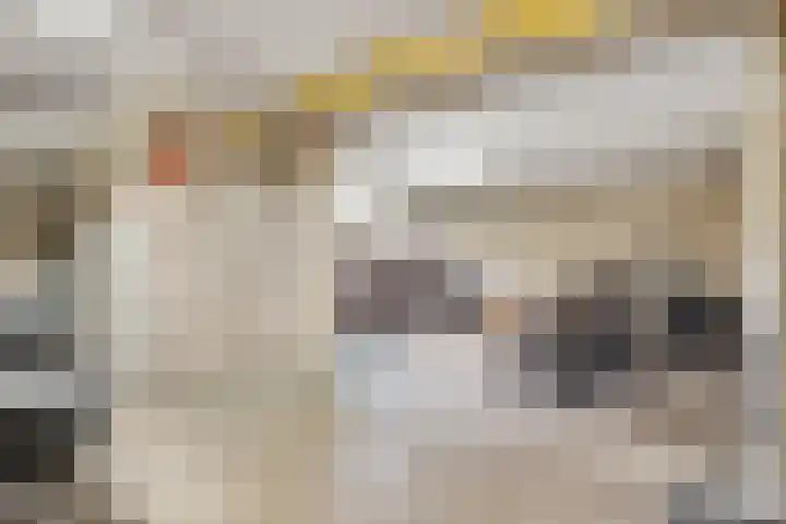 Verlengde Slotlaan 32 35 Zeist thumbnail 36