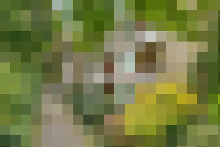Verlengde Slotlaan 32 35 Zeist thumbnail 37