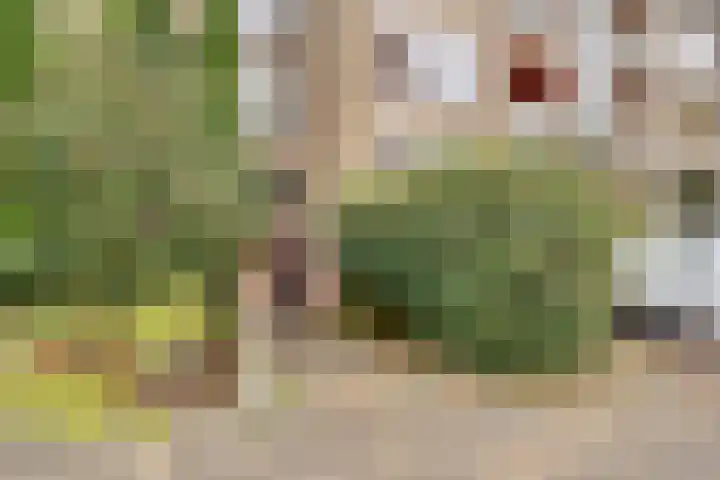 Verlengde Slotlaan 32 35 Zeist thumbnail 38