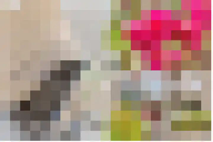 Verlengde Slotlaan 32 35 Zeist thumbnail 4