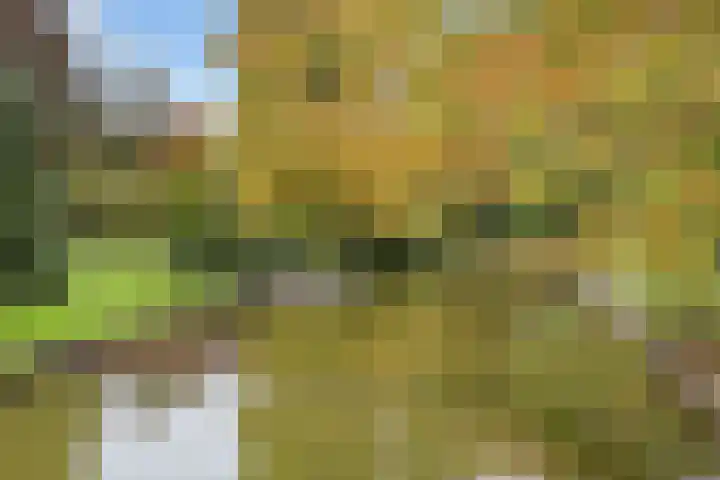 Verlengde Slotlaan 32 35 Zeist thumbnail 41