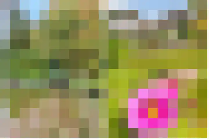 Verlengde Slotlaan 32 35 Zeist thumbnail 42