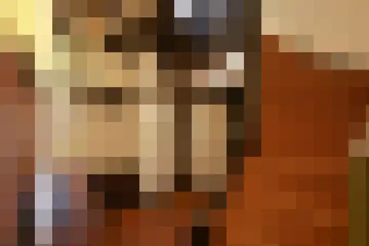 Verlengde Slotlaan 86 Zeist thumbnail 11