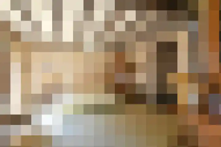 Verlengde Slotlaan 86 Zeist thumbnail 12
