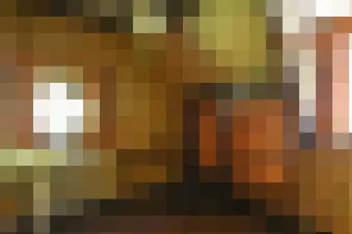 Verlengde Slotlaan 86 Zeist thumbnail 16