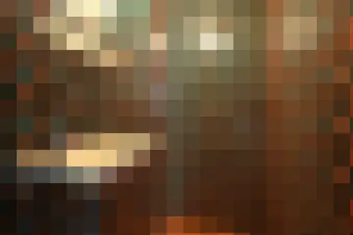 Verlengde Slotlaan 86 Zeist thumbnail 20
