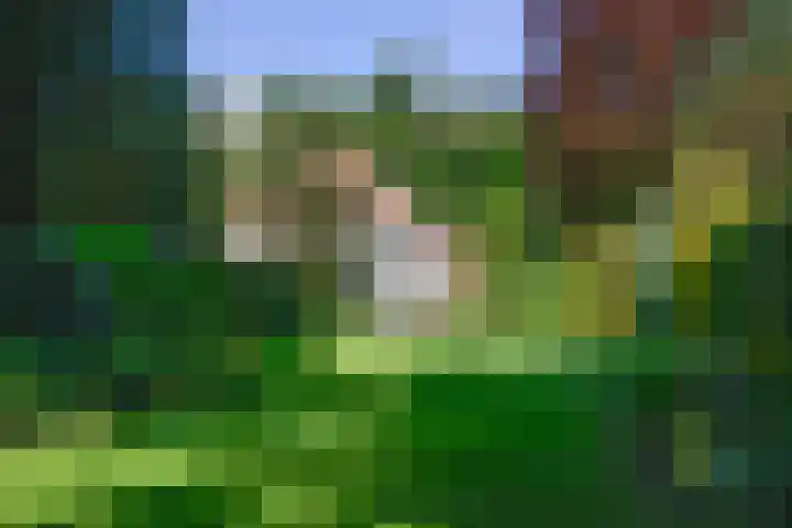 Verlengde Slotlaan 86 Zeist thumbnail 21