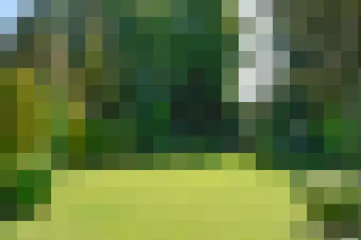 Verlengde Slotlaan 86 Zeist thumbnail 22
