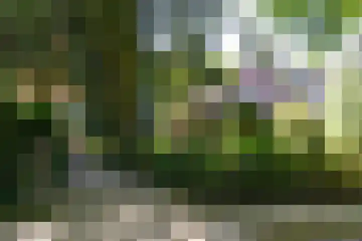 Verlengde Slotlaan 86 Zeist thumbnail 23