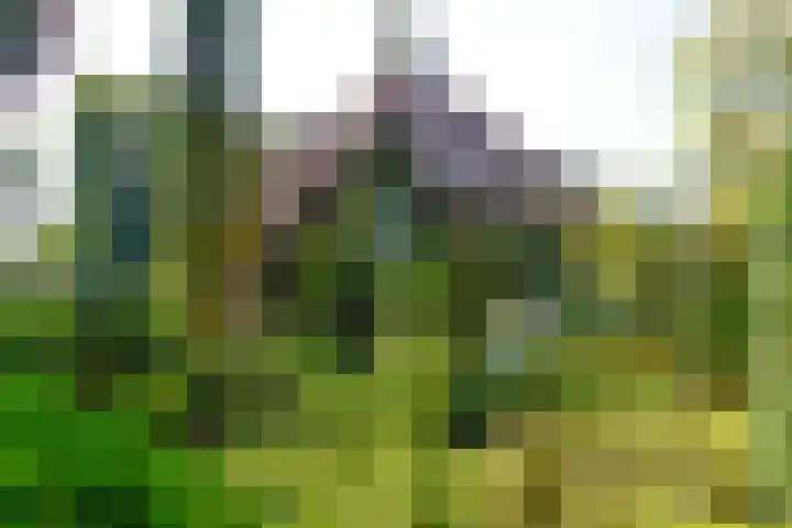 Verlengde Slotlaan 86 Zeist thumbnail 24