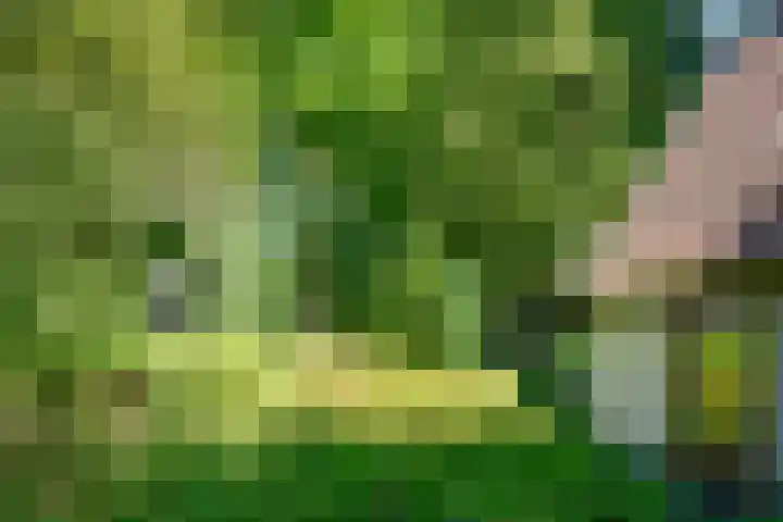 Verlengde Slotlaan 86 Zeist thumbnail 25