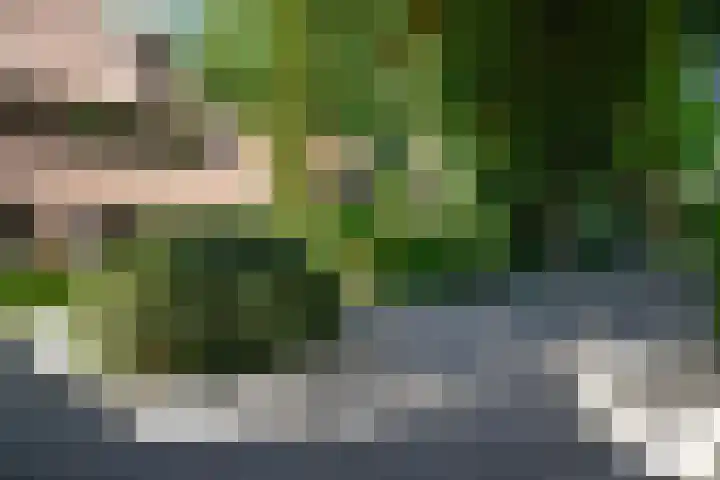 Verlengde Slotlaan 86 Zeist thumbnail 26