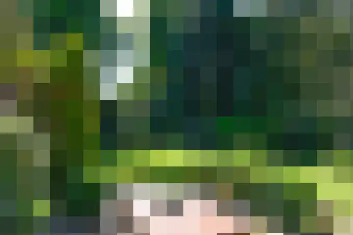 Verlengde Slotlaan 86 Zeist thumbnail 28