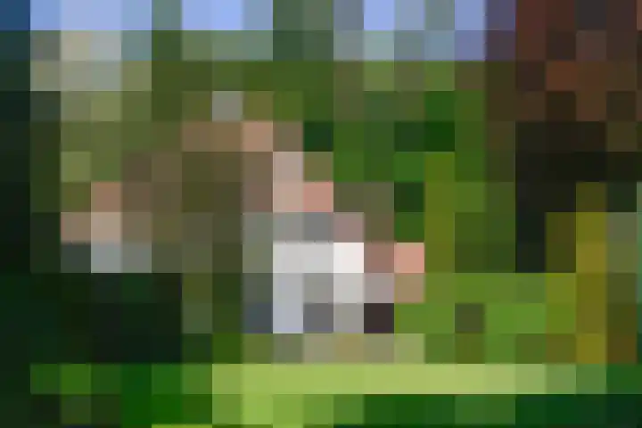 Verlengde Slotlaan 86 Zeist thumbnail 29